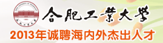 合肥工业大学
