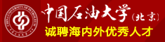 中国石油大学（北京）诚聘海内外优秀人才