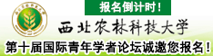 报名倒计时！西北农林科技大学第十届国际青年学者论坛诚邀您报名！