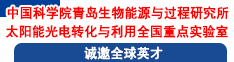 中国科学院青岛生物能源与过程研究所太阳能光电转化与利用全国重点实验室诚邀全球英才